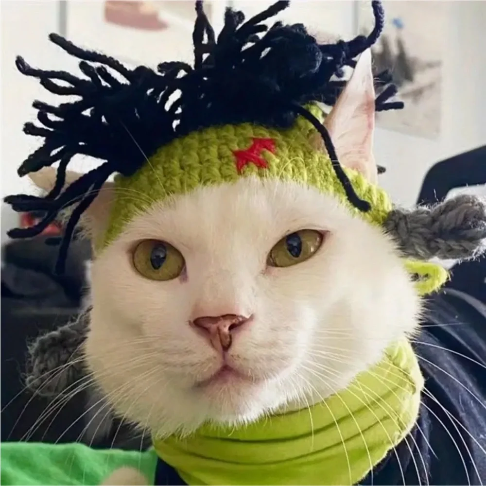Costume Reggae Punk Rock Crochet Wig Hat for Small Pet Dog Cat (M)